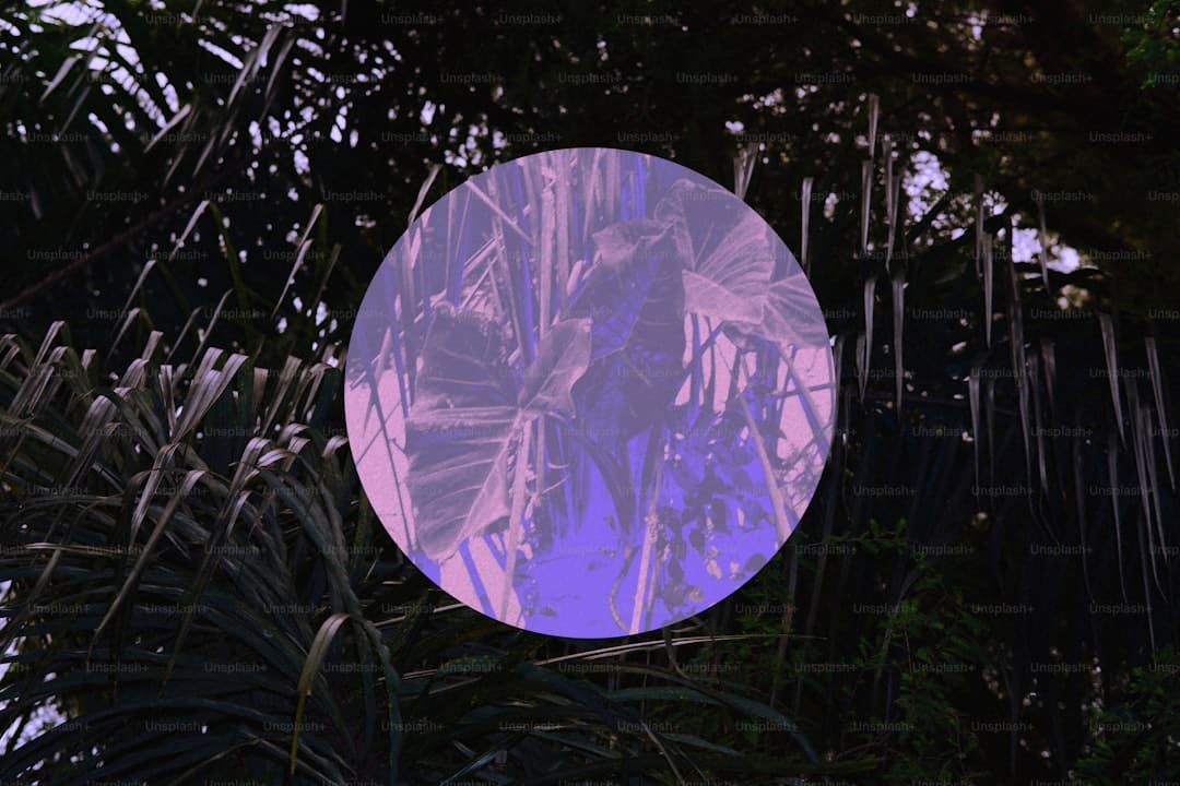 《子夜归》徐凯是干什么的？
